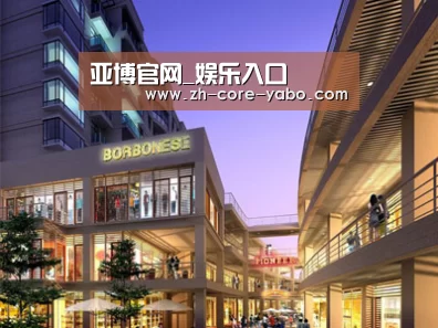 案例展示一(图1)