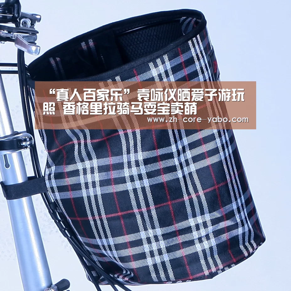 真人百家乐