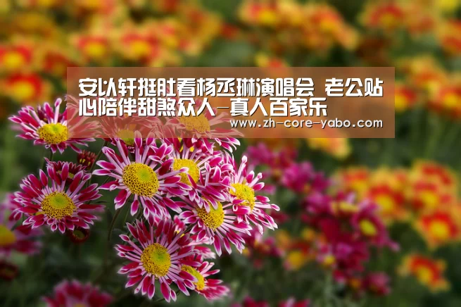 安以轩挺肚看杨丞琳演唱会 老公贴心陪伴甜煞众人-真人百家乐(图2) 真人百家乐